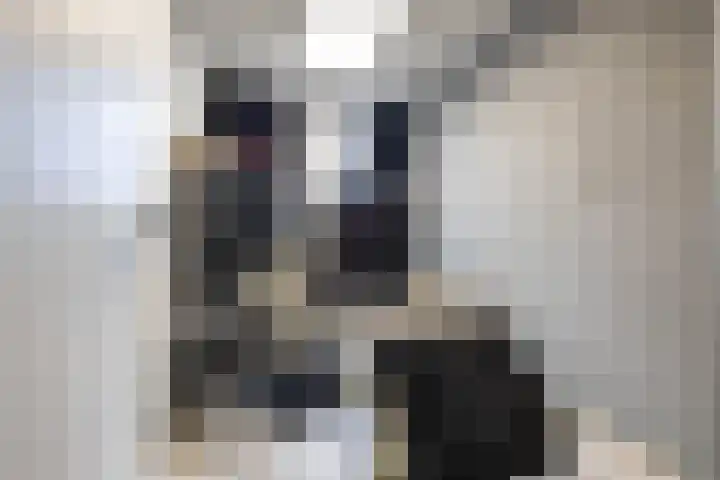 Karlingakkers 8 Peize thumbnail 31