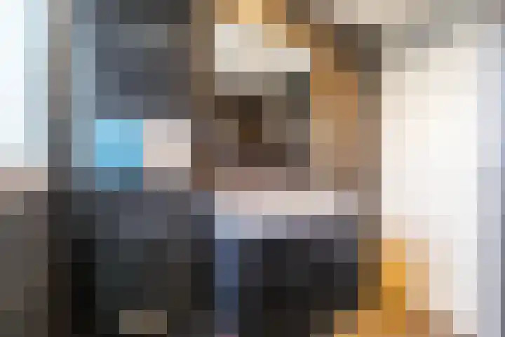 Karlingakkers 8 Peize thumbnail 33