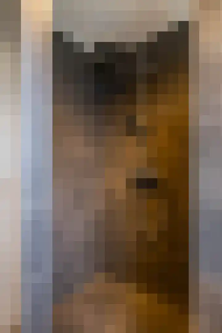 Karlingakkers 8 Peize thumbnail 34