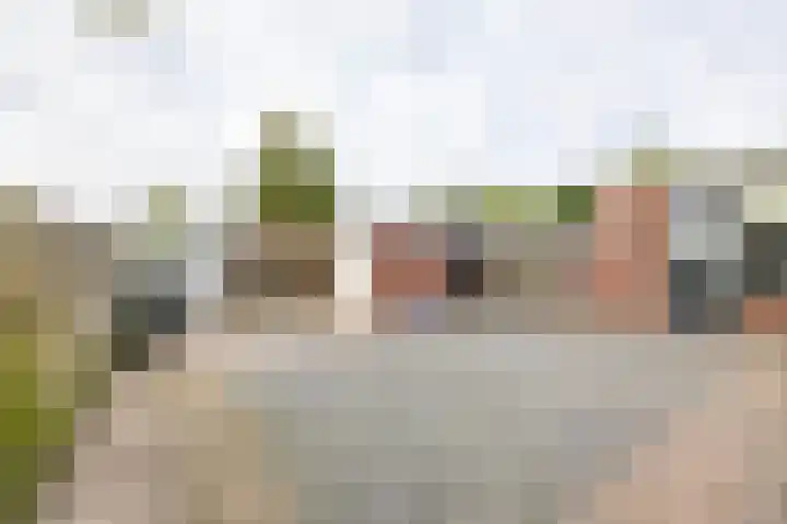 Karlingakkers 8 Peize thumbnail 37