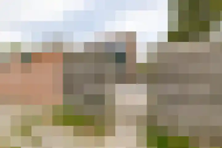 Karlingakkers 8 Peize thumbnail 39