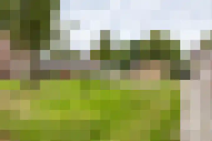 Karlingakkers 8 Peize thumbnail 43