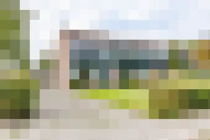 Karlingakkers 8 Peize thumbnail 6