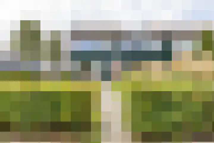 Karlingakkers 8 Peize thumbnail 8