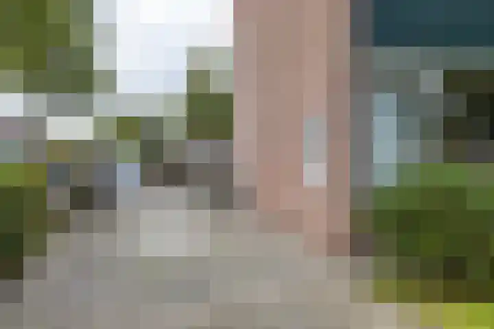 Karlingakkers 8 Peize thumbnail 9