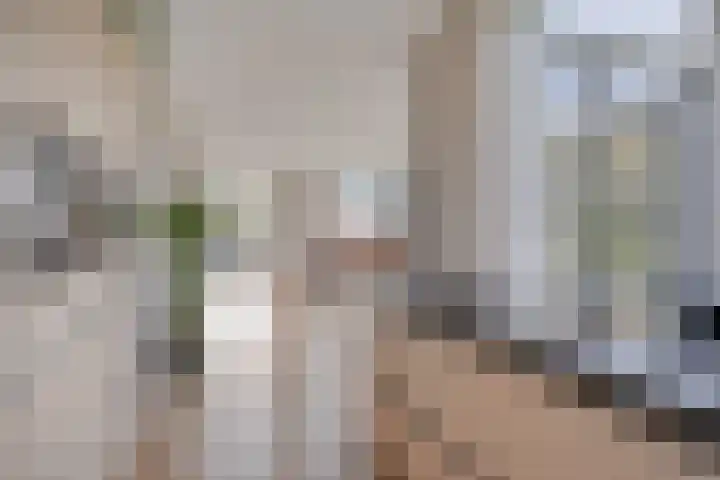 Karmelhof 5 Zenderen thumbnail 11