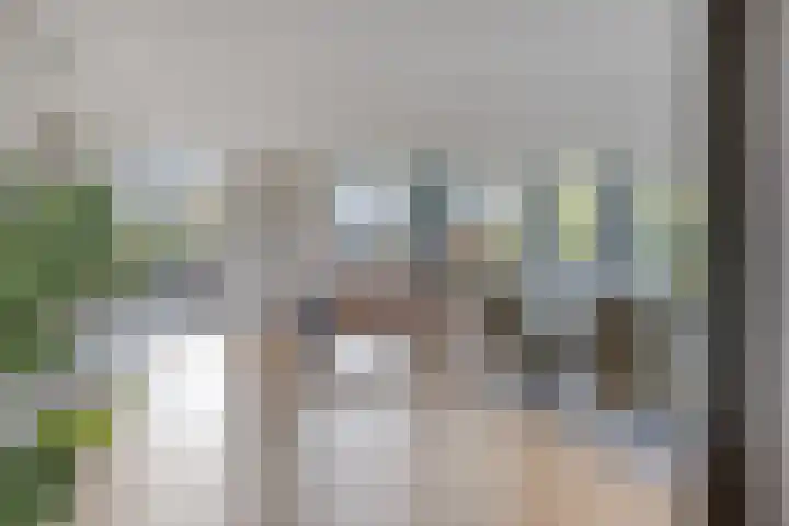 Karmelhof 5 Zenderen thumbnail 12