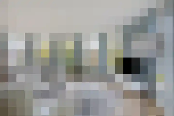 Karmelhof 5 Zenderen thumbnail 17
