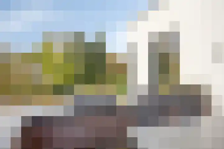Karmelhof 5 Zenderen thumbnail 24