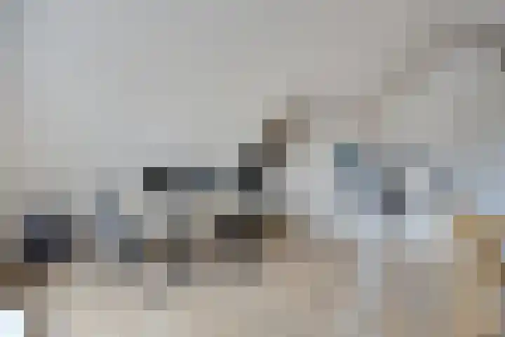 Karmelhof 5 Zenderen thumbnail 35