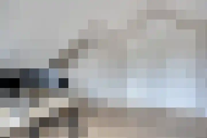 Karmelhof 5 Zenderen thumbnail 36