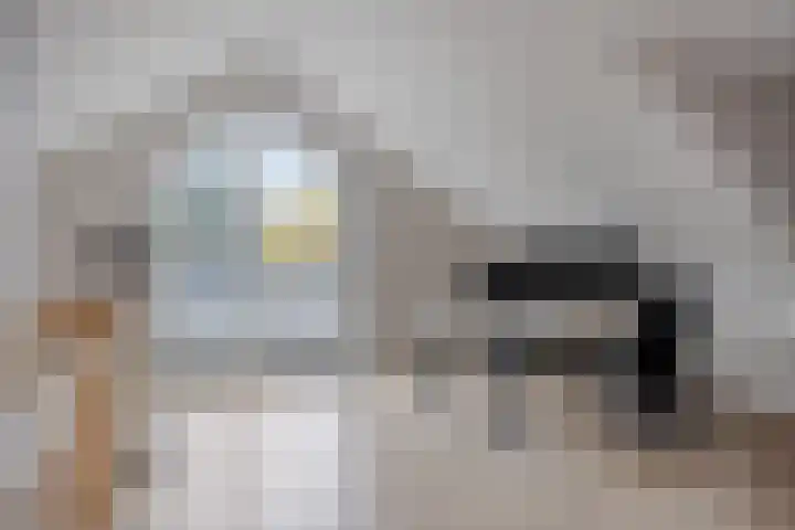 Karmelhof 5 Zenderen thumbnail 41