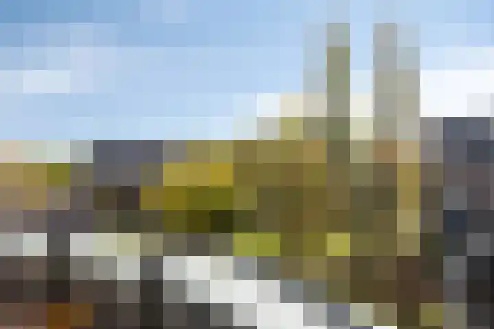 Karmelhof 5 Zenderen thumbnail 43
