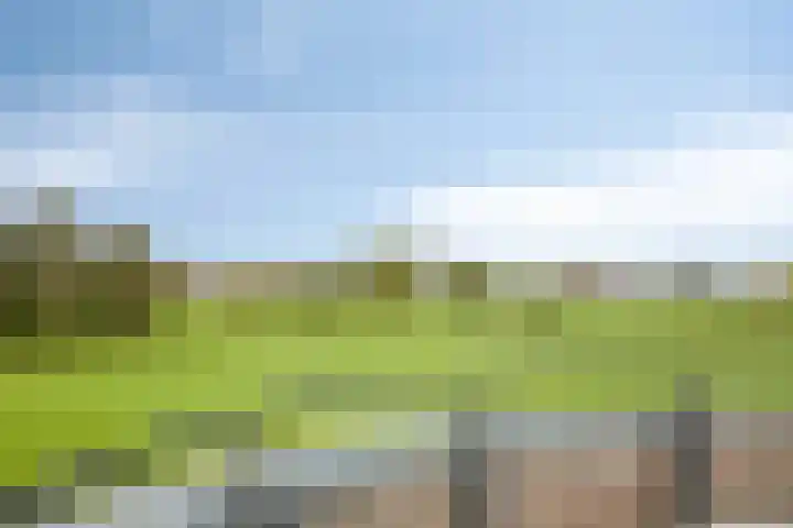 Karmelhof 5 Zenderen thumbnail 44