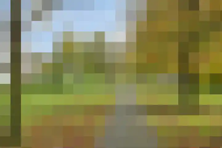 Karmelhof 5 Zenderen thumbnail 48