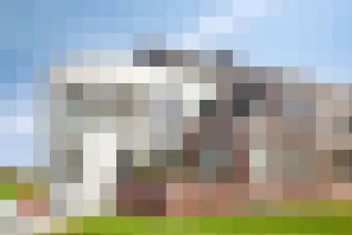 Karmelhof 5 Zenderen thumbnail 50
