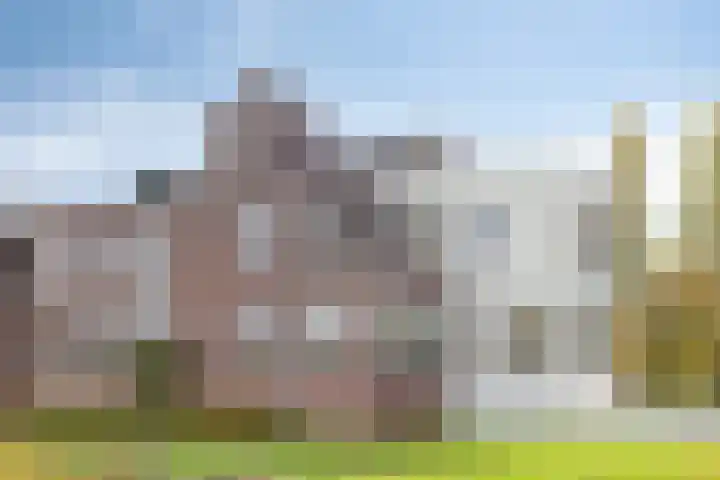 Karmelhof 5 Zenderen thumbnail 51