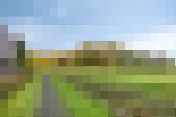 Karmelhof 5 Zenderen thumbnail 52