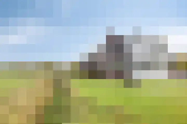 Karmelhof 5 Zenderen thumbnail 55