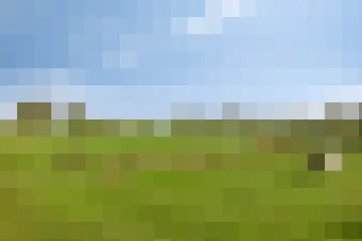 Karmelhof 5 Zenderen thumbnail 56