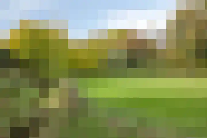Karmelhof 5 Zenderen thumbnail 57