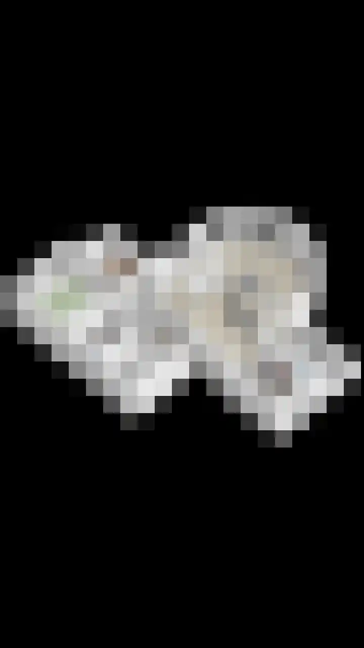 Karmelhof 5 Zenderen thumbnail 62