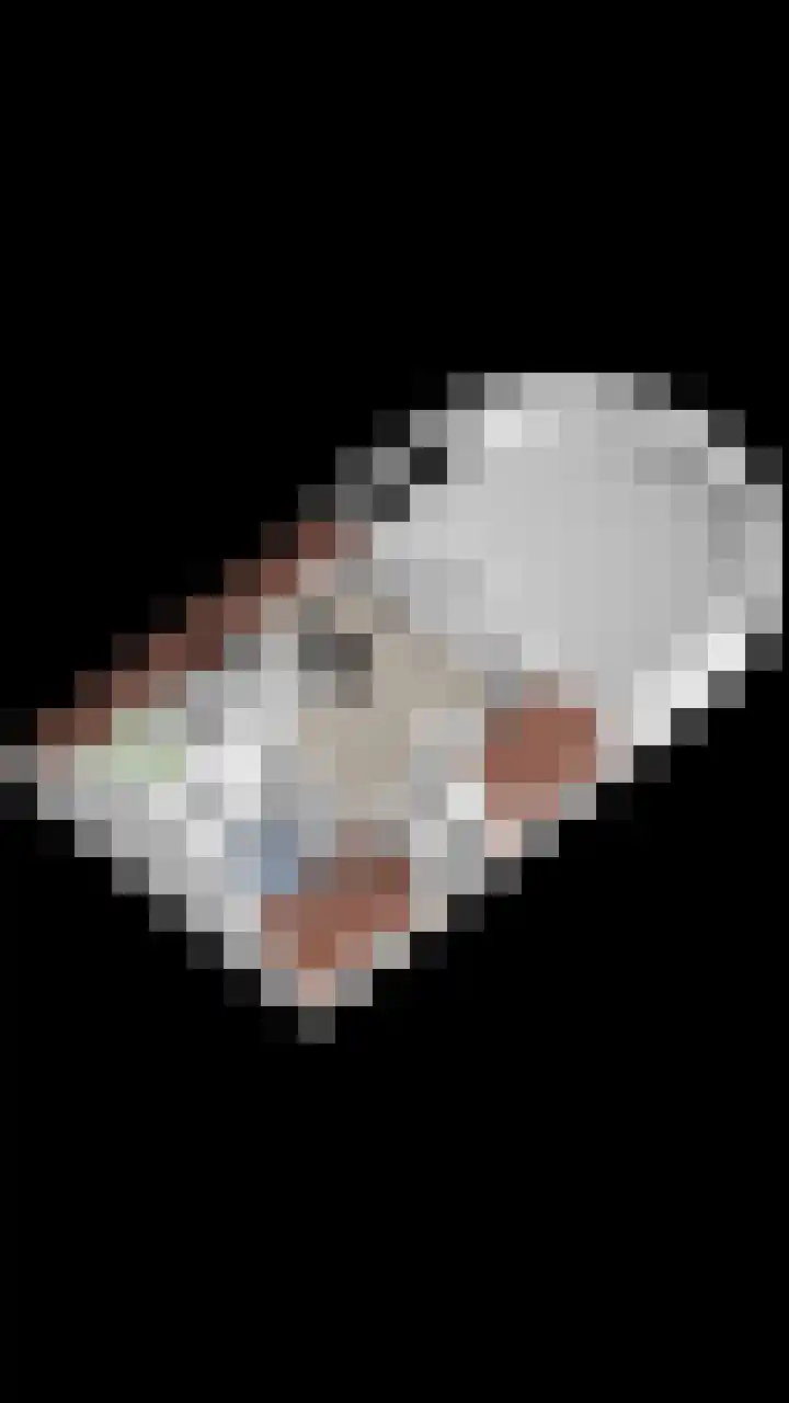 Karmelhof 5 Zenderen thumbnail 63