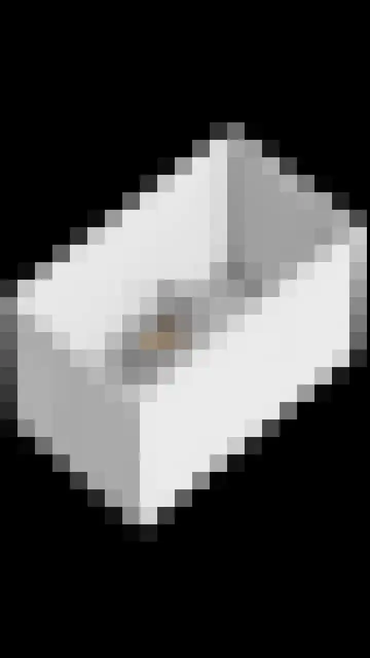 Karmelhof 5 Zenderen thumbnail 64