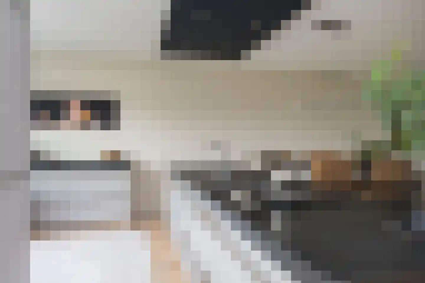 Karmelhof 7 Zenderen thumbnail 14