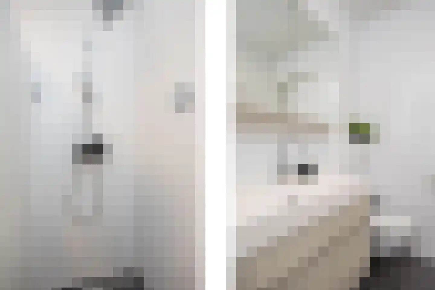 Karmelhof 7 Zenderen thumbnail 27