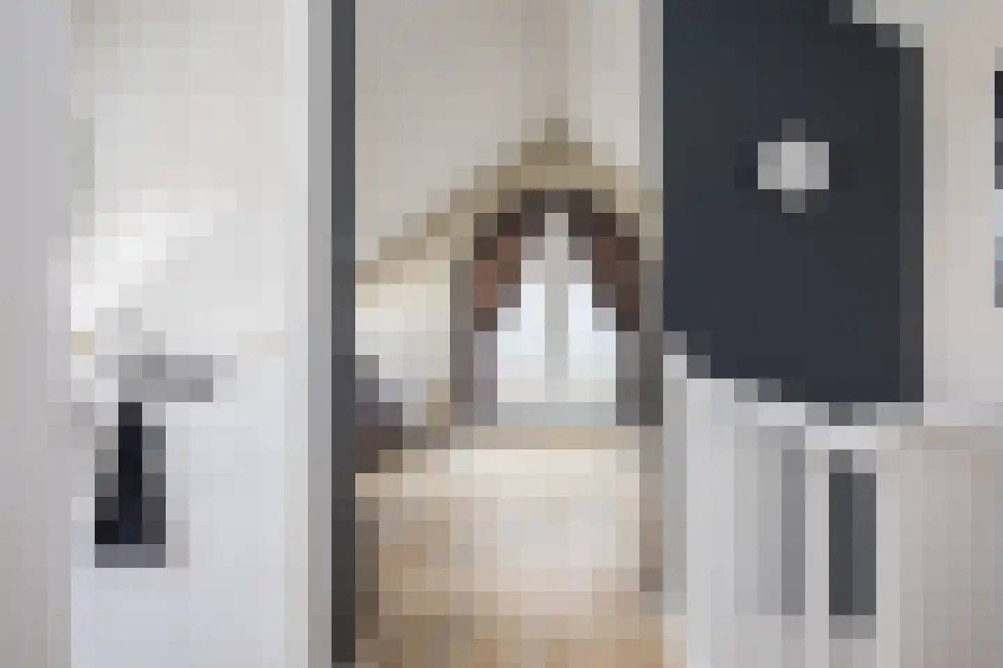 Karmelhof 7 Zenderen thumbnail 28