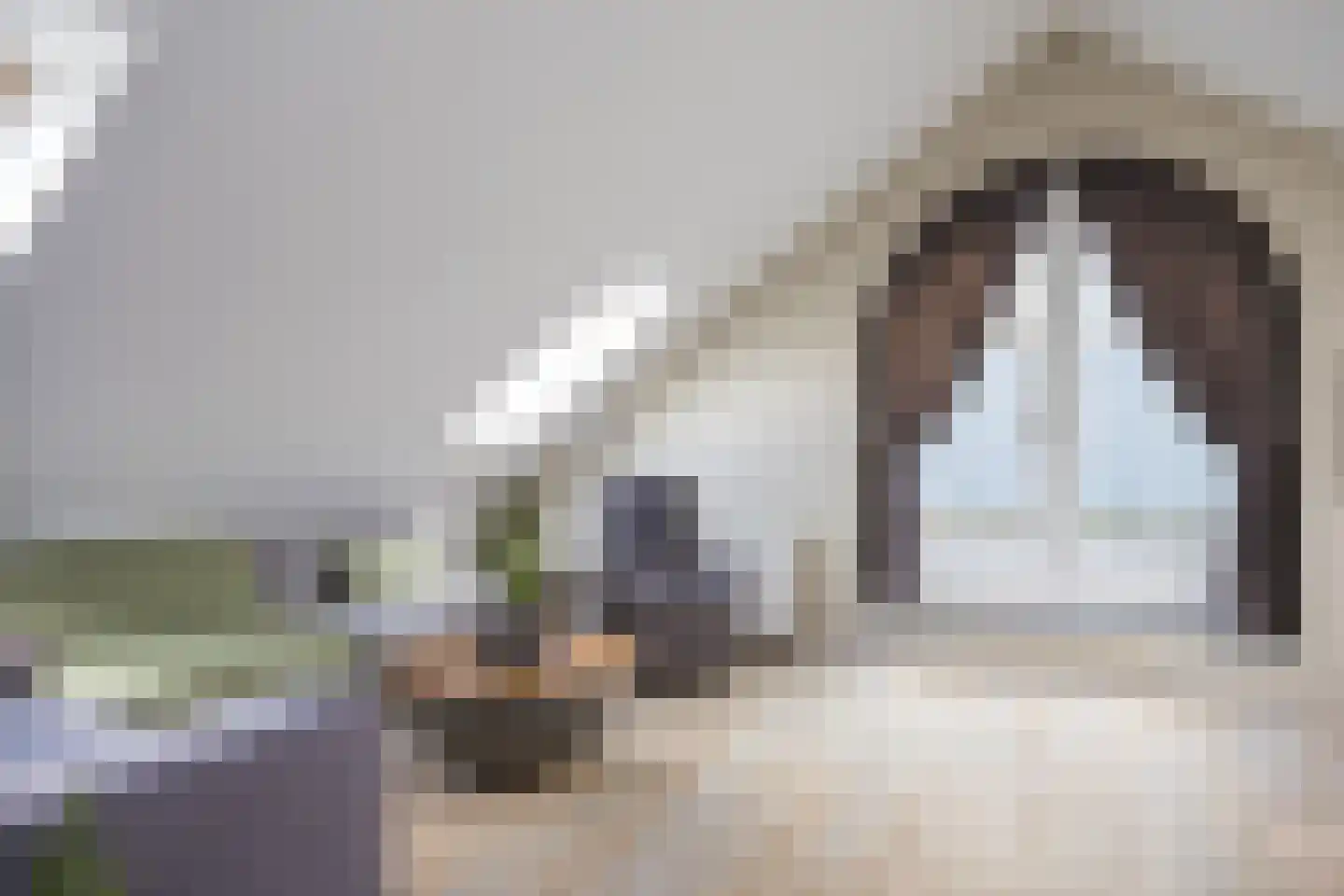 Karmelhof 7 Zenderen thumbnail 29