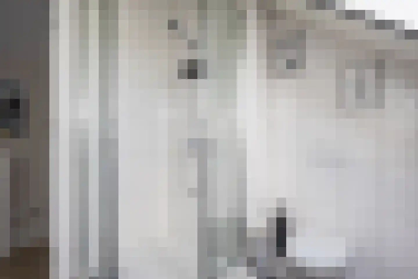 Karmelhof 7 Zenderen thumbnail 32