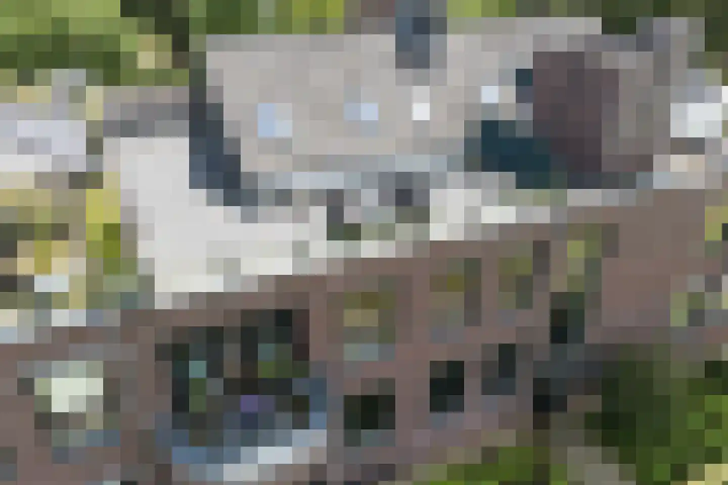 Karmelhof 7 Zenderen thumbnail 36