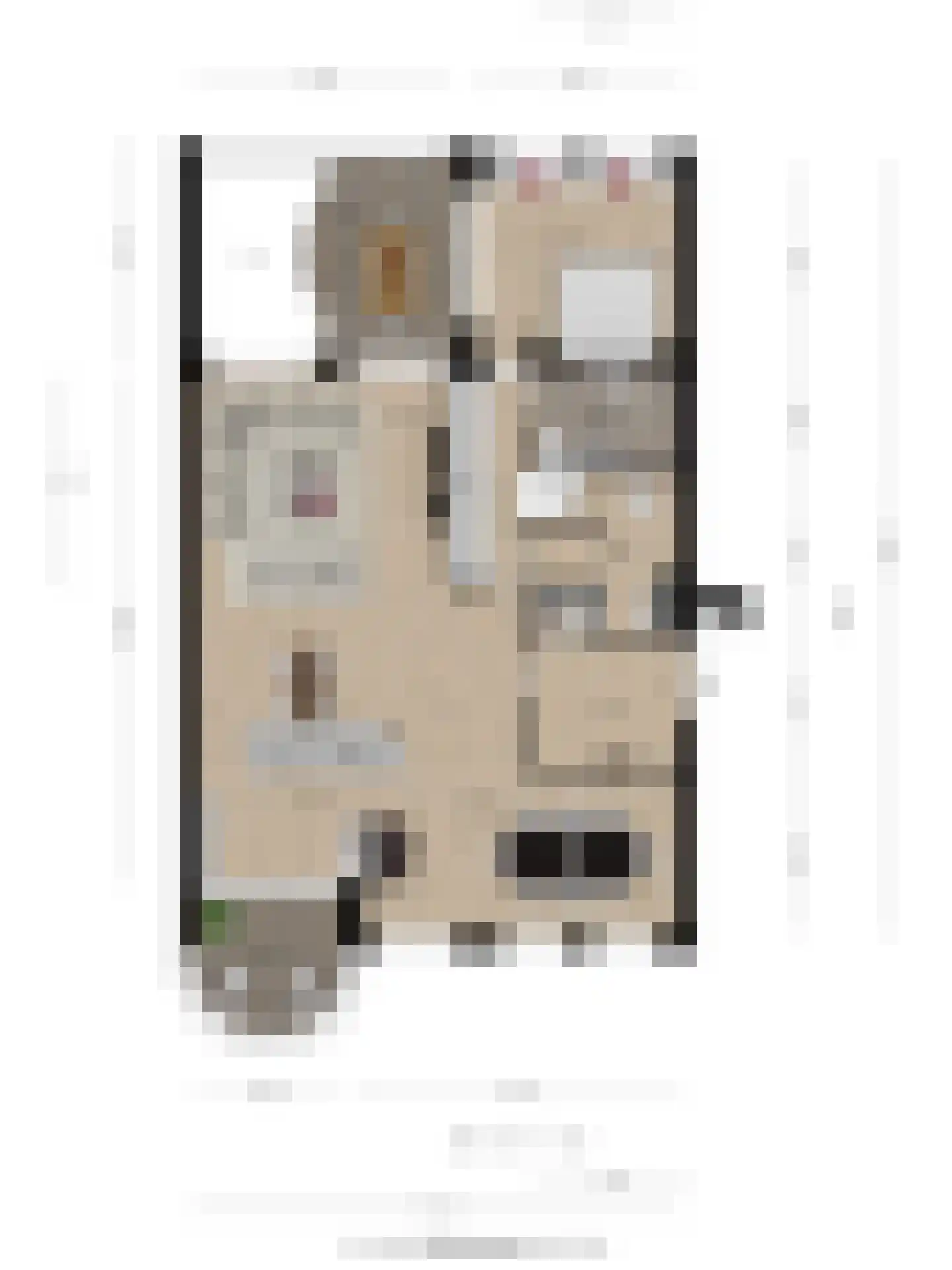 Karmelhof 7 Zenderen thumbnail 43