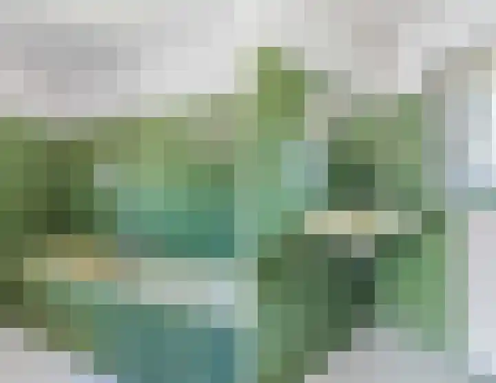 Karmelietenstraat 1 Dongen thumbnail 23