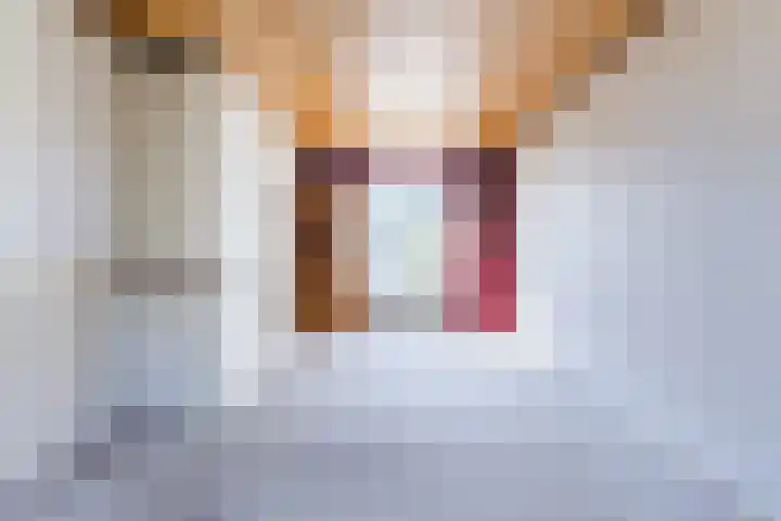 Karmelietenstraat 1 Dongen thumbnail 8