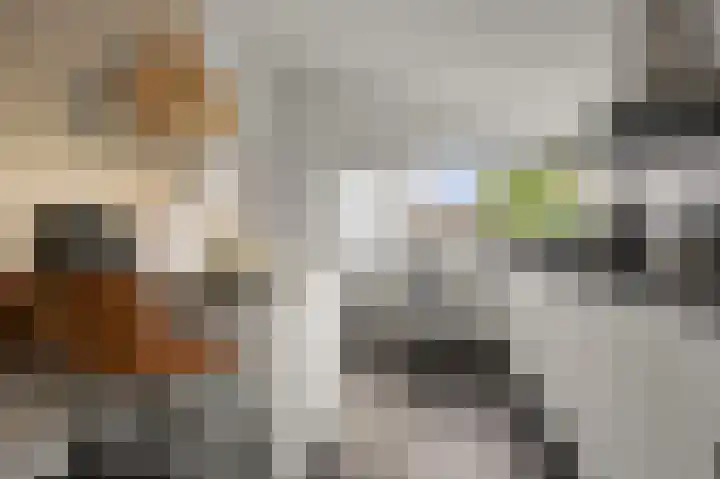 Karmelietenstraat 12 Assendelft thumbnail 11
