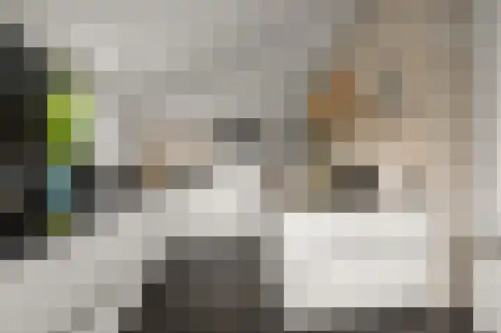 Karmelietenstraat 12 Assendelft thumbnail 13