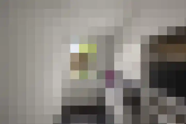 Karmelietenstraat 12 Assendelft thumbnail 14