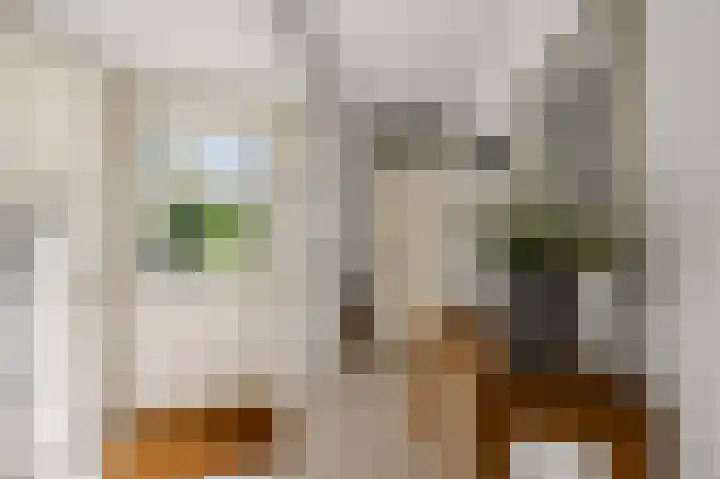 Karmelietenstraat 12 Assendelft thumbnail 16
