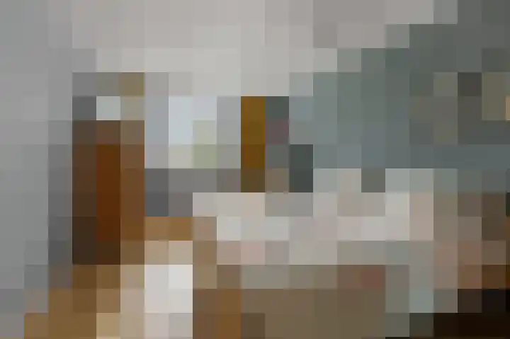 Karmelietenstraat 12 Assendelft thumbnail 17