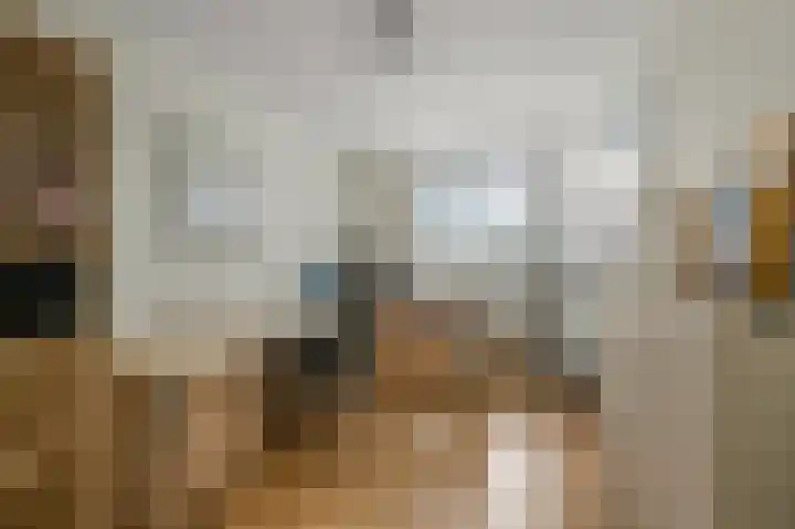 Karmelietenstraat 12 Assendelft thumbnail 20