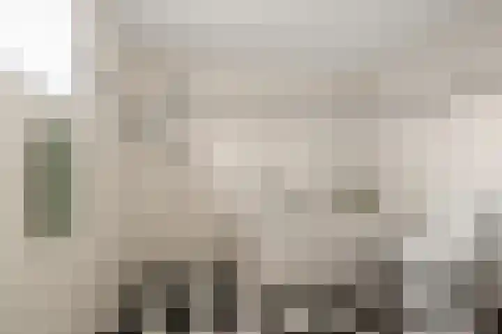 Karmelietenstraat 12 Assendelft thumbnail 24