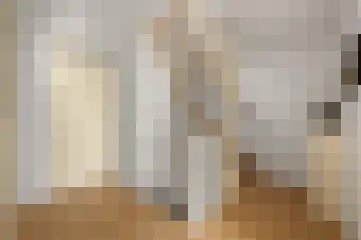 Karmelietenstraat 12 Assendelft thumbnail 25