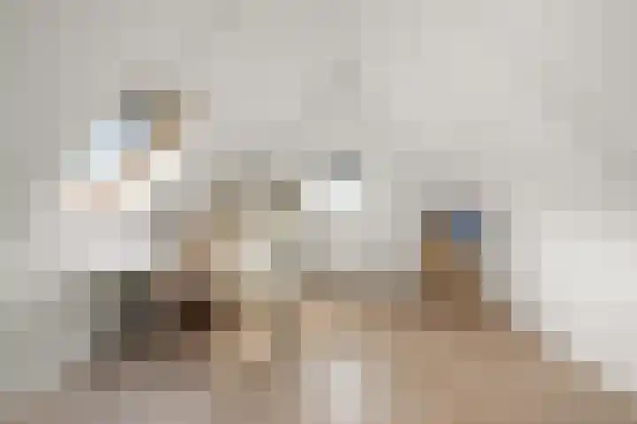 Karmelietenstraat 12 Assendelft thumbnail 26