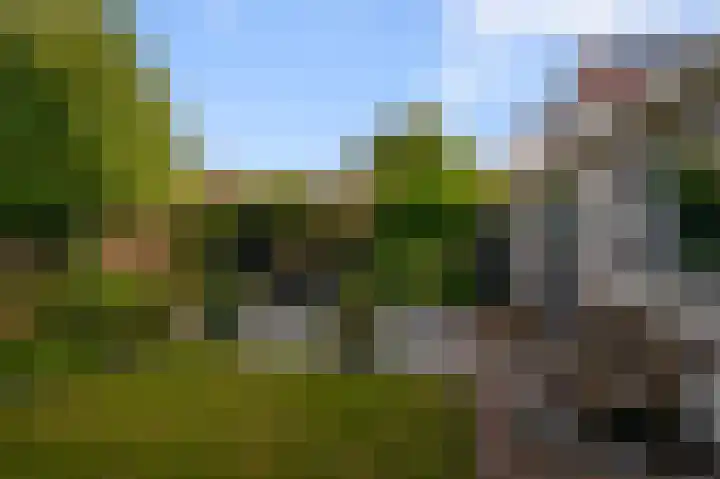 Karmelietenstraat 12 Assendelft thumbnail 31