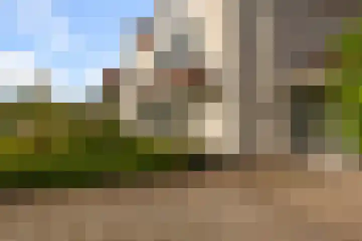 Karmelietenstraat 12 Assendelft thumbnail 33