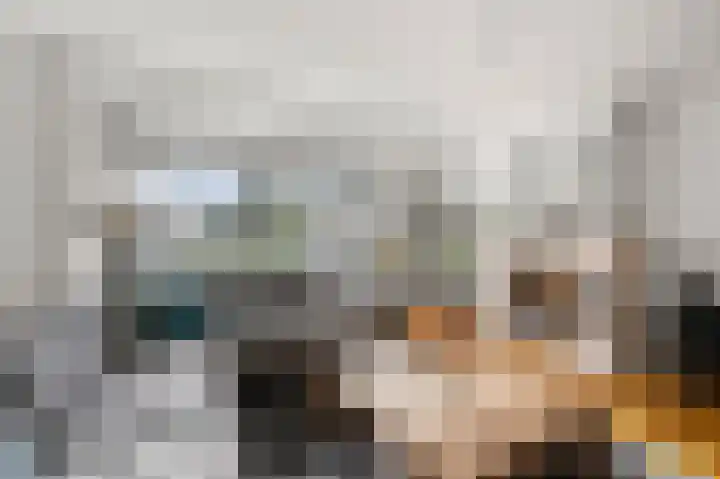 Karmelietenstraat 12 Assendelft thumbnail 4