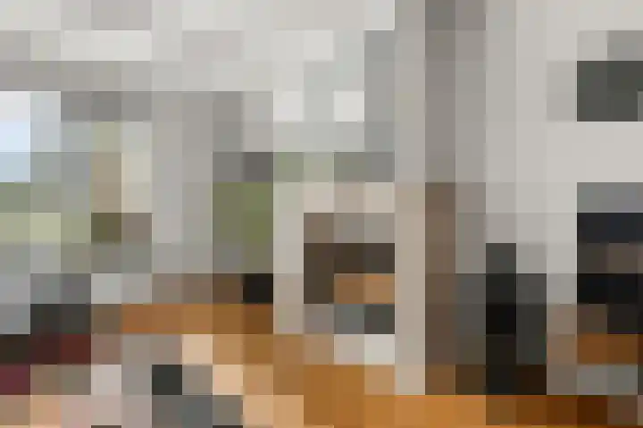 Karmelietenstraat 12 Assendelft thumbnail 5